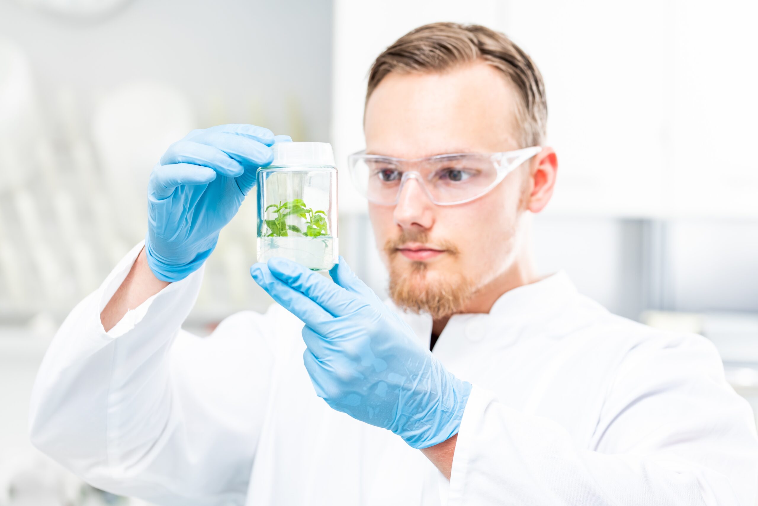 SEGUEMOS AS REGRAS, ESTA É A NOSSA CHAVE PARA A EFICÁCIA